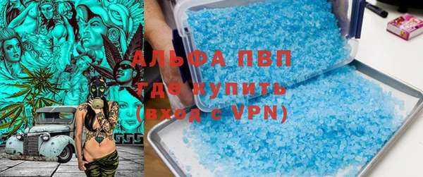 шишки Белокуриха
