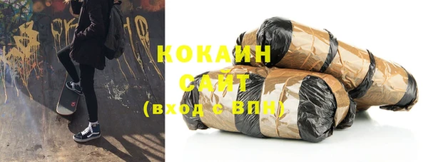 шишки Верхний Тагил