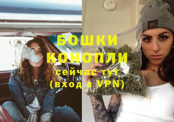 шишки Верхний Тагил