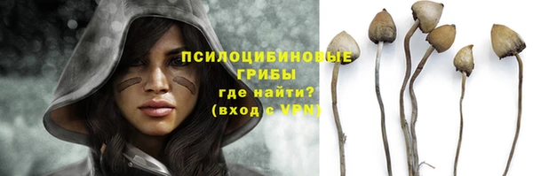 мескалин Богородицк