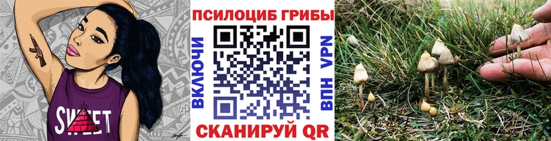 Псилоцибиновые грибы Cubensis  Духовщина 